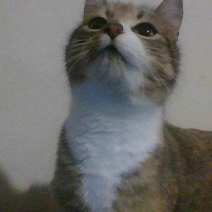 Meet your Posher, Willow